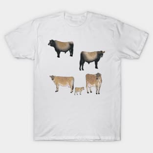 Jersey Cows Pattern Transparent T-Shirt